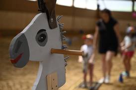 Jahresfest 2026 – Ein weißer Pferdekopf aus Holz in der Reithalle am Pferdehof Jahresfest 2026 - Ein weißer Pferdekopf aus Holz in der Reithalle am Pferdehof